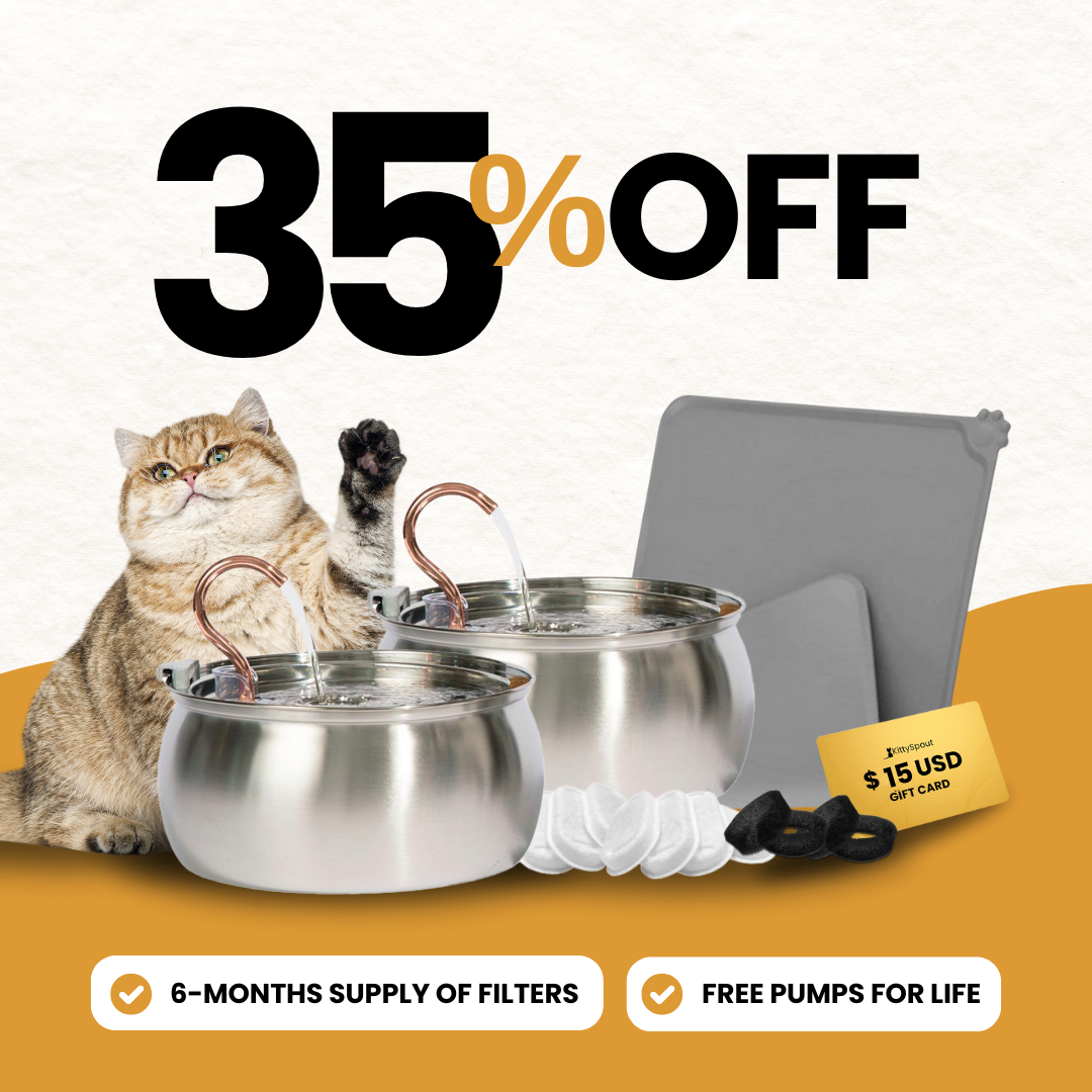 Like New Big Cat Family Bundle - 4L / 4L