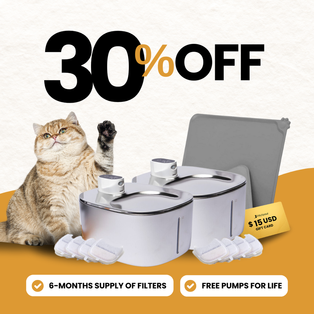Wireless Big Cat Family Bundle