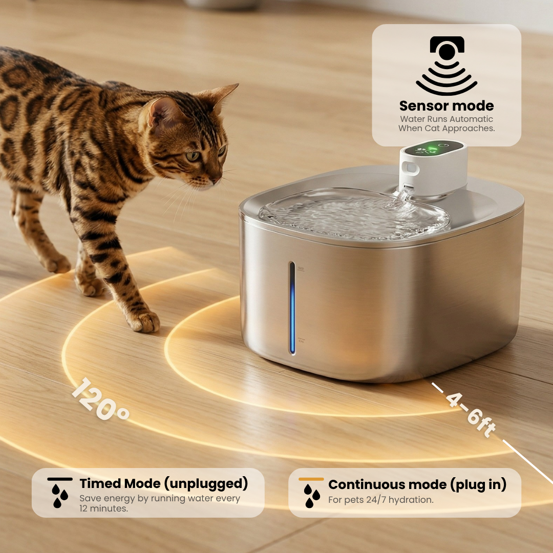 Wireless Big Cat Family Bundle