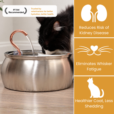 Le KittySpout™