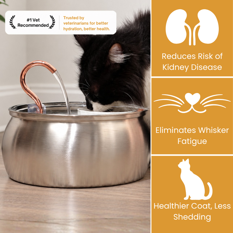 Il KittySpout™