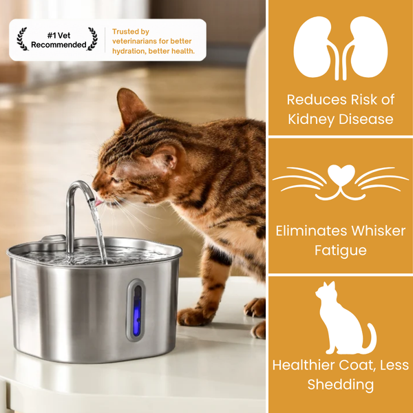 El KittySpout™ - Kit de 2 meses para la fuente de 2,2 l