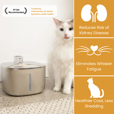 The KittySpout™ - Wireless Fountain