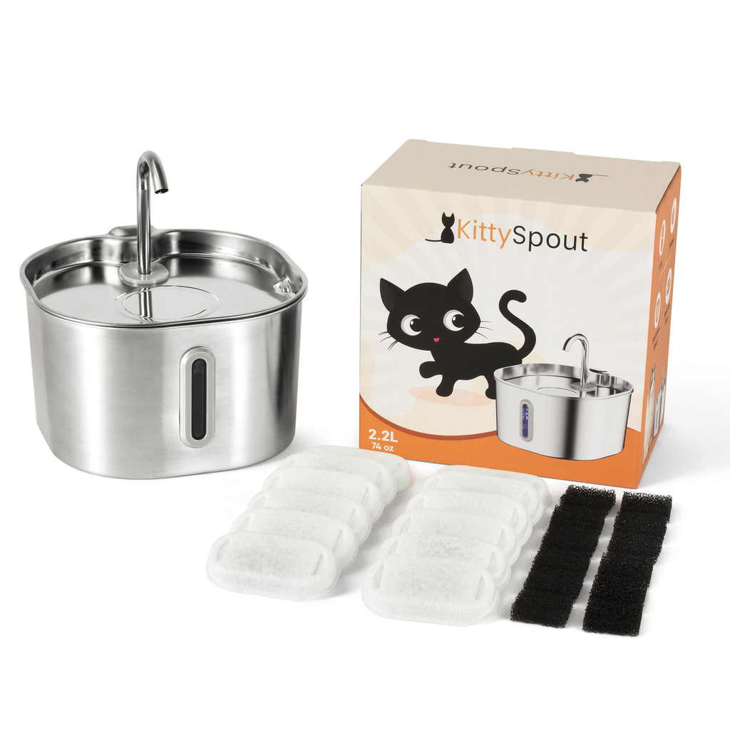 The KittySpout™ - 2.2L Hydration & Playtime Value Bundle
