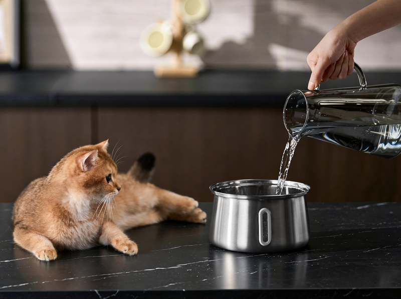 Fewer Refills, Always-Fresh Water
