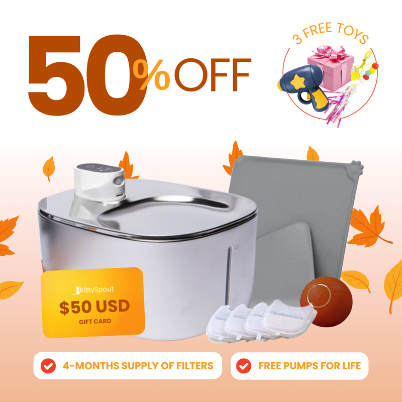 Wireless Hydration & Playtime Value Bundle