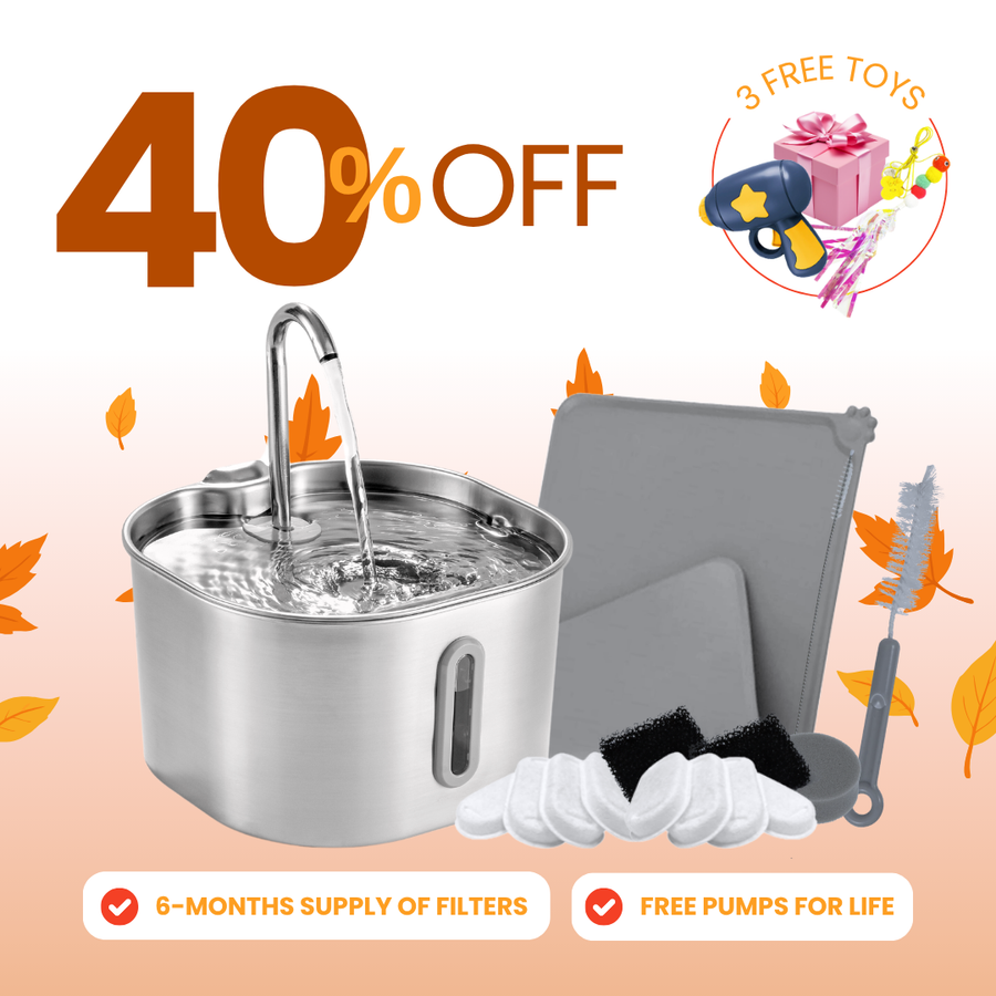 The KittySpout™ - 2.2L Purrrfect KittySpout Kit