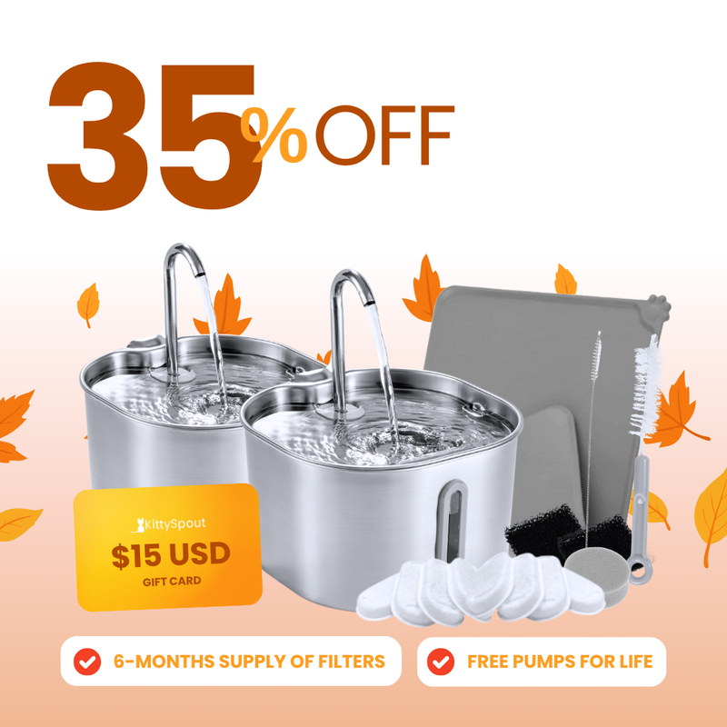 The KittySpout™ - 2.2L Big Cat Family Bundle