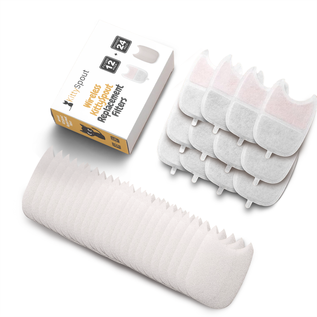 Wireless KittySpout Replacement Filters - 2-month Subscription