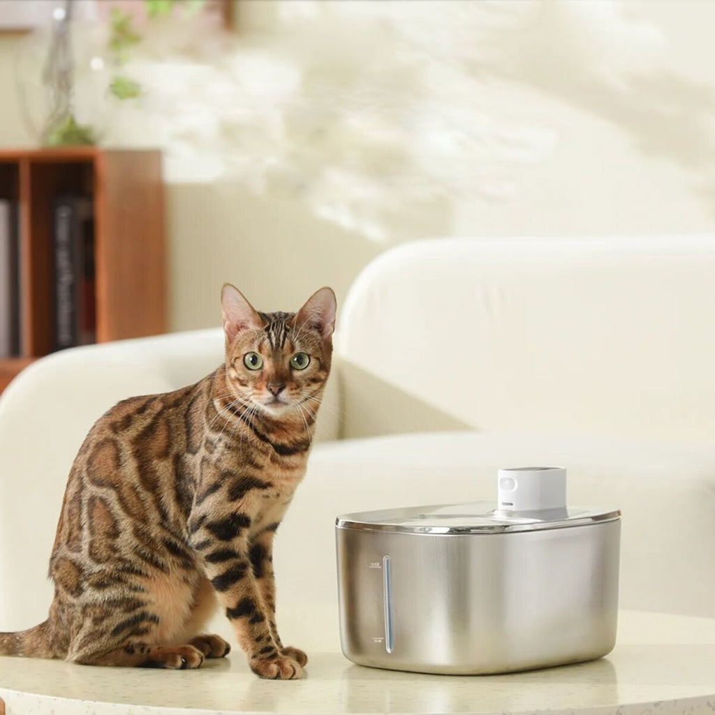 24x Filter Sets + 12x FREE - Wireless Filters