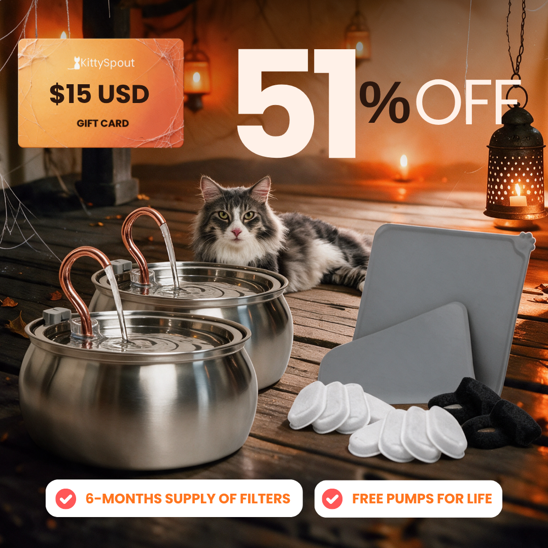 Big Cat Family Bundle 4L flash sale bundle