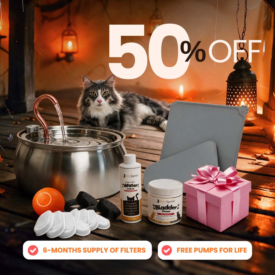 Hydration & Health Bundle 4L flash sale bundle