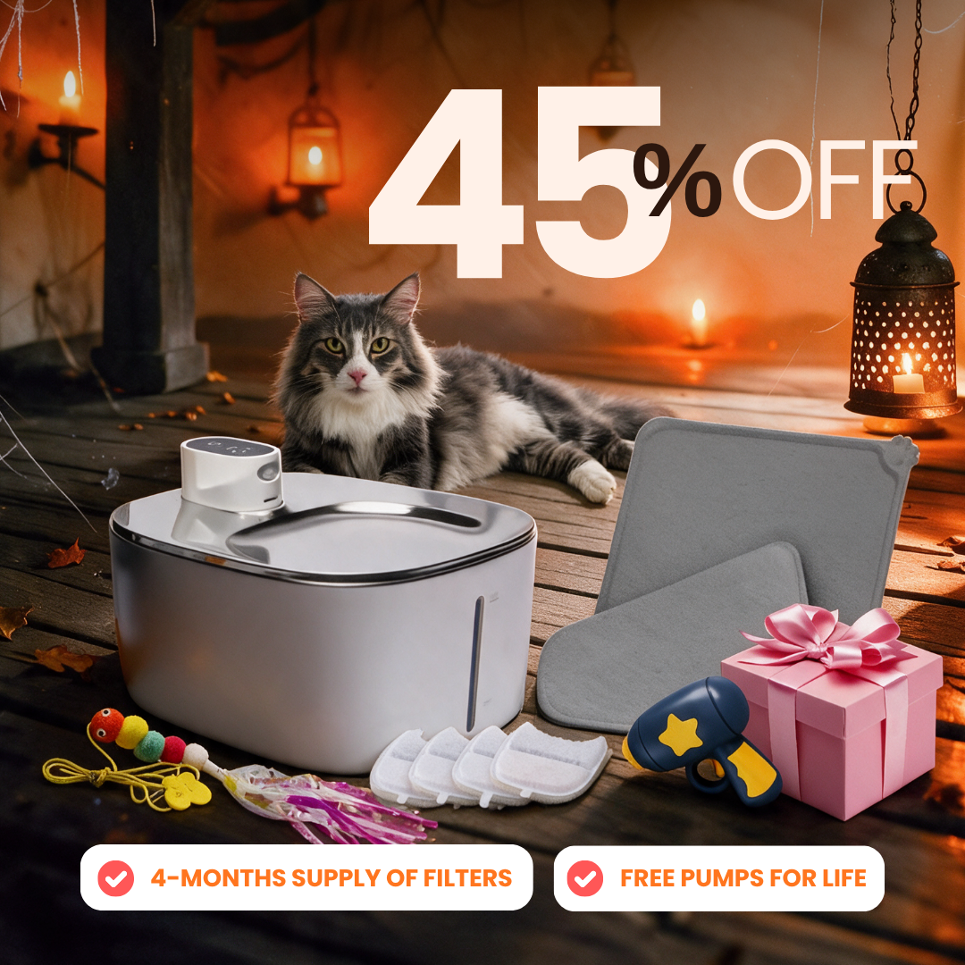 Purrrfect KittySpout Kit Wireless flash sale bundle