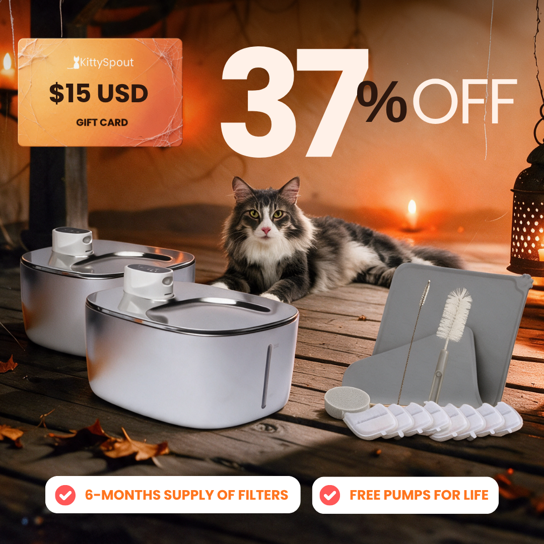 Big Cat Family Bundle Wireless flash sale bundle