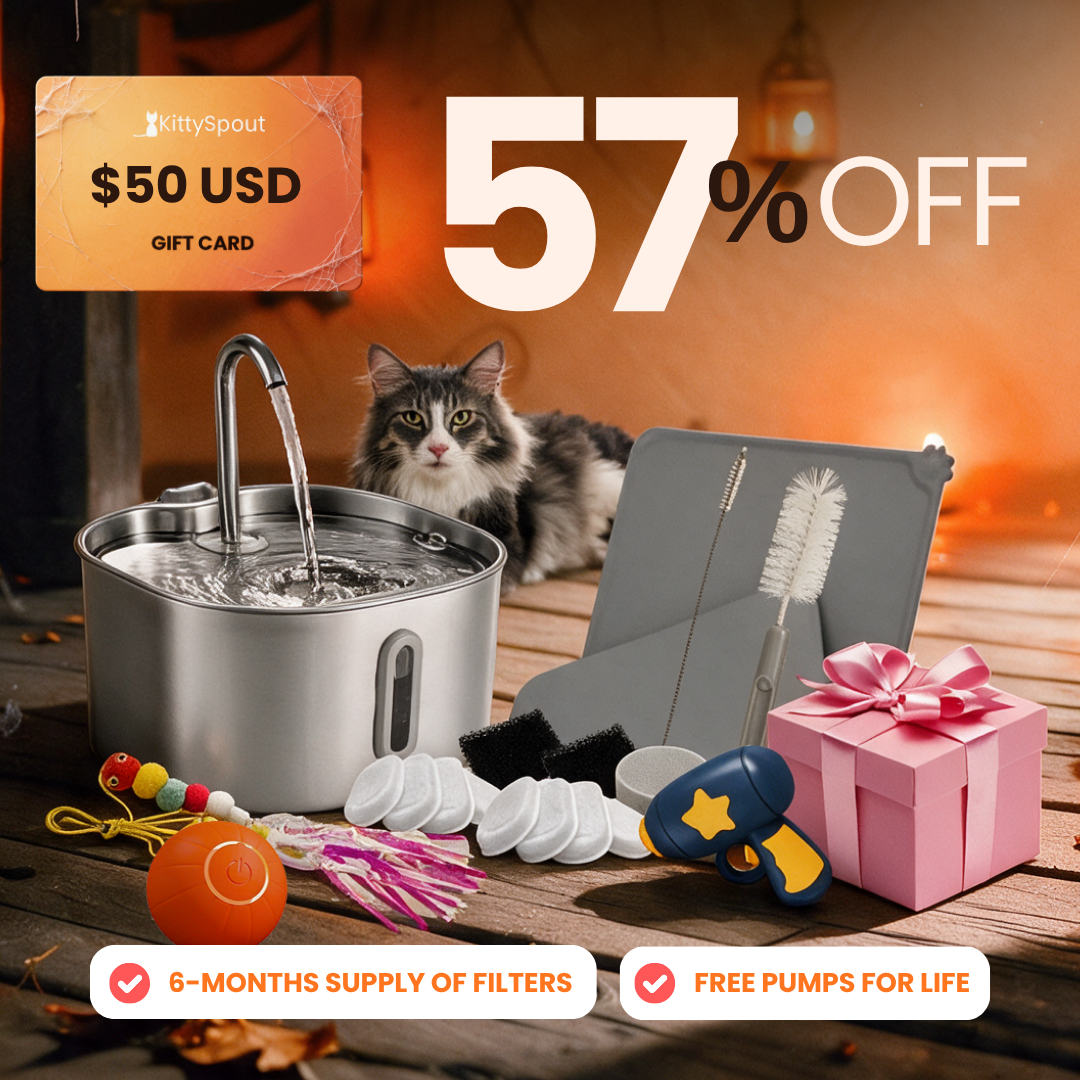 hydration-playtime-value-bundle flash sale bundle