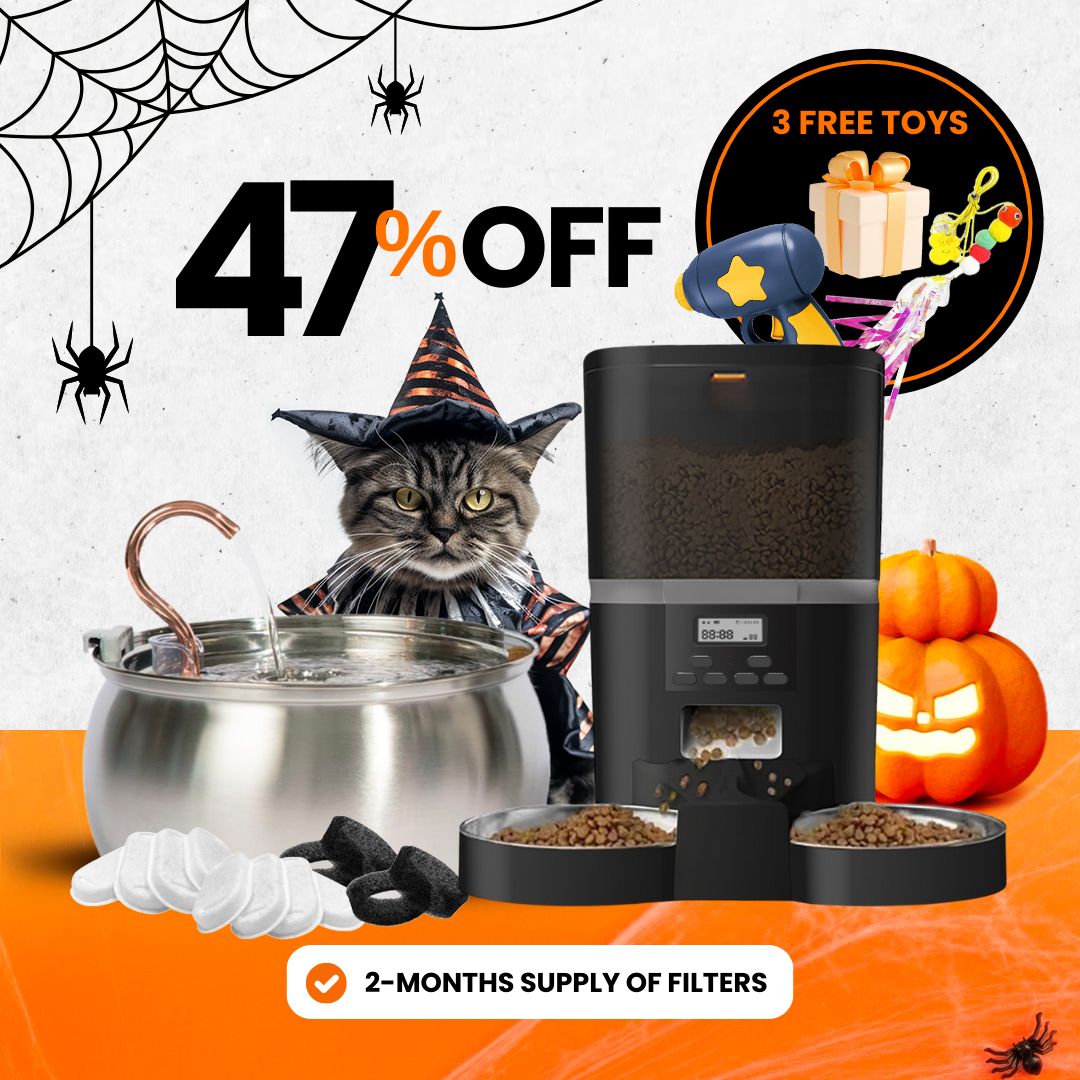 Elite Cat Care Bundle