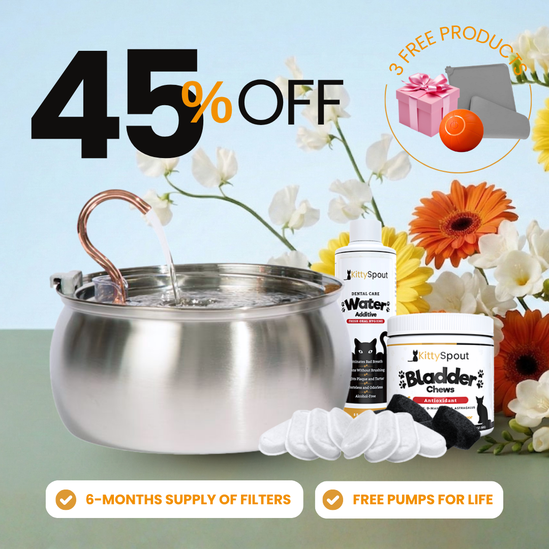Save Big with Bundles