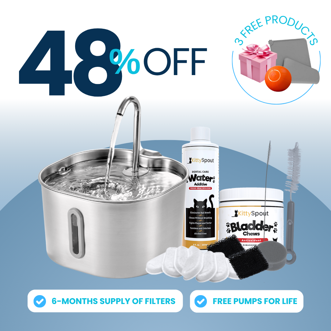 The KittySpout™ - 2.2L Hydration & Health Bundle