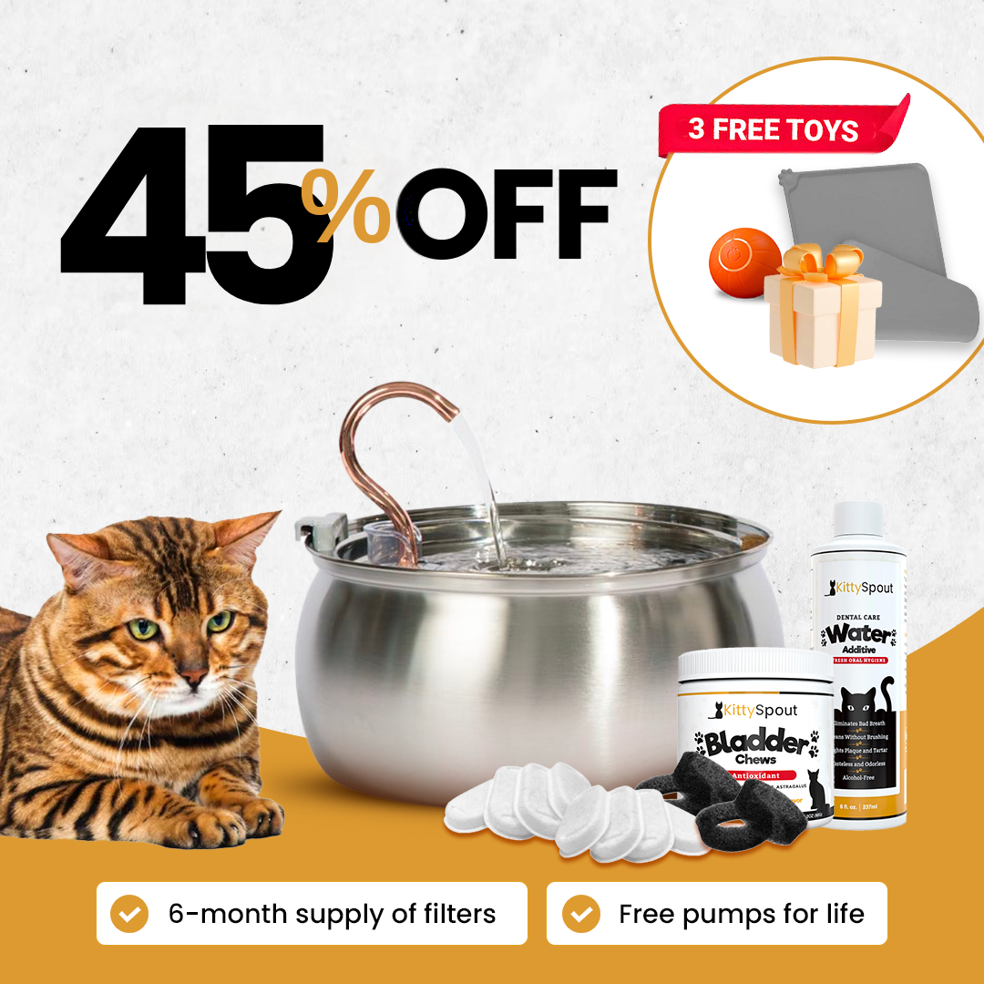 Paquete Hidratación y Salud