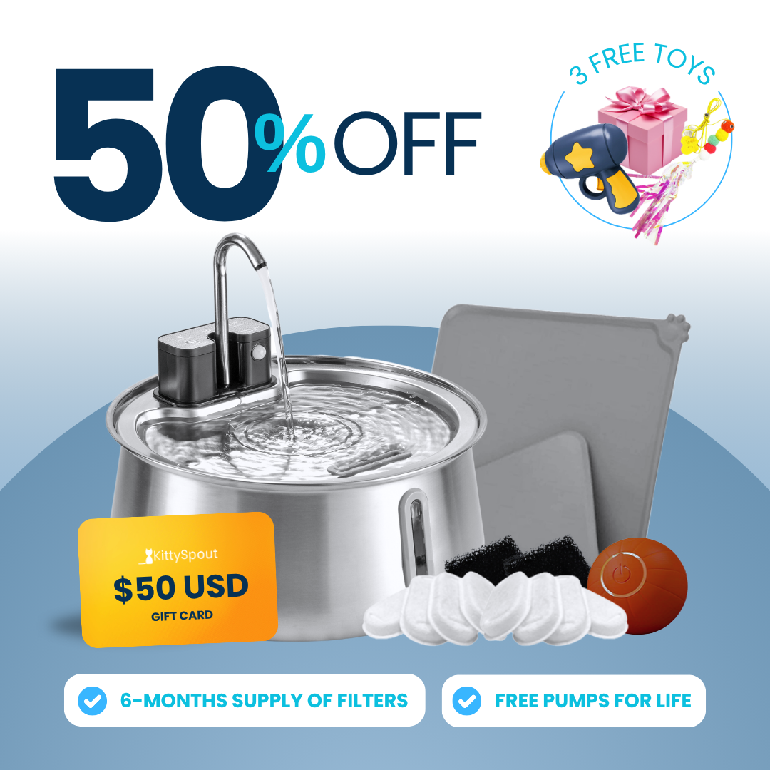 Wireless 2.0 Hydration & Playtime Value Bundle