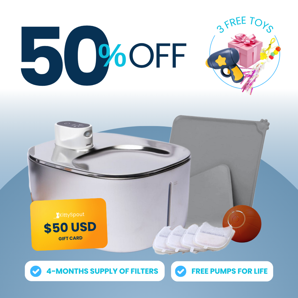 Wireless Hydration & Playtime Value Bundle