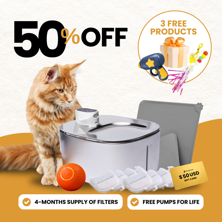KittySpout bundle