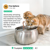 Kit de salud y felicidad para gatos The KittySpout™ thumbnail