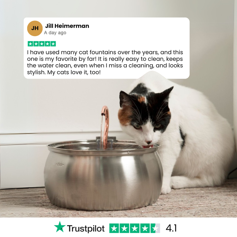 Kit de salud y felicidad para gatos The KittySpout™