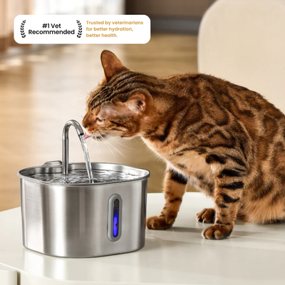 Der KittySpout™ – 2,2-Liter-Brunnen – 2-Monats-Kit