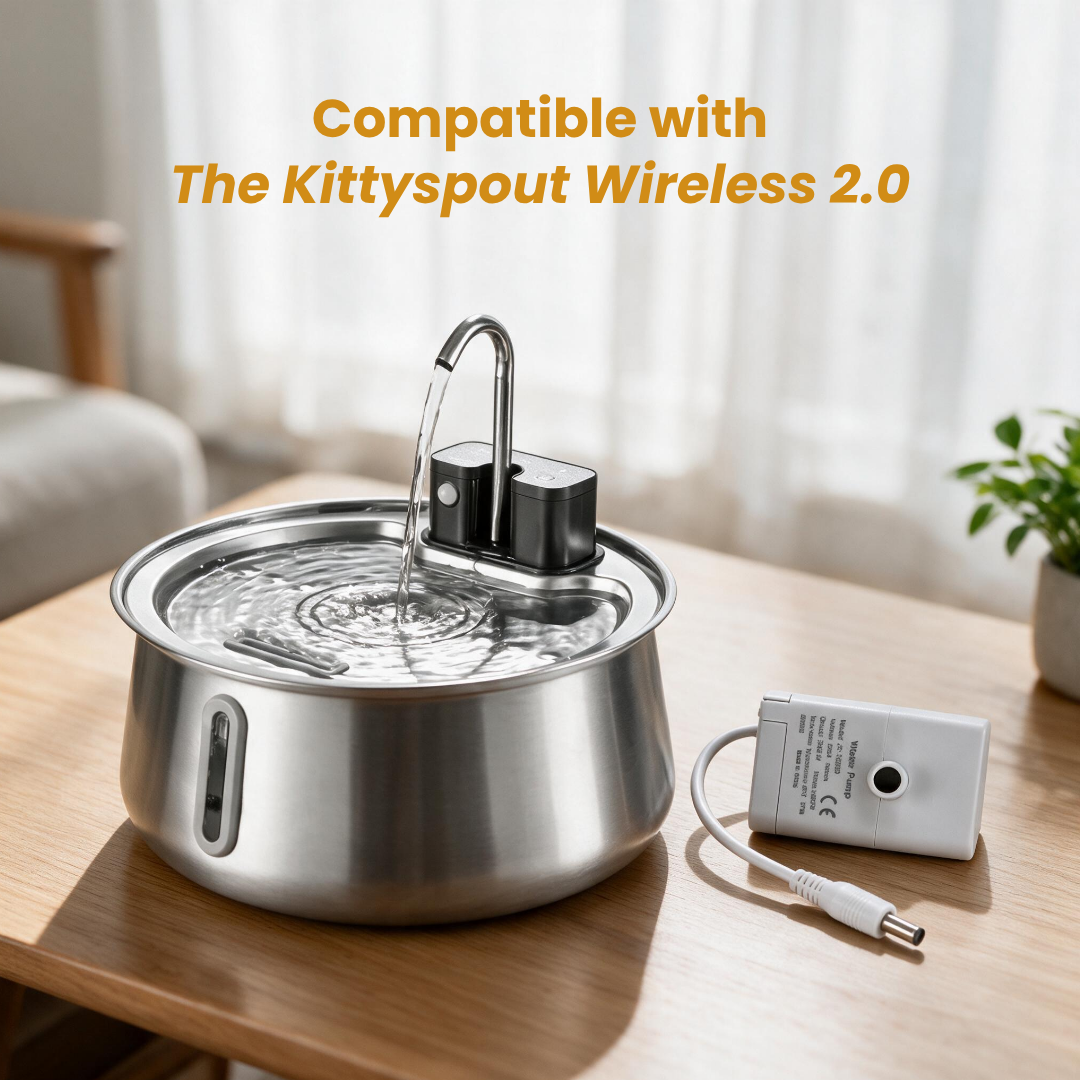 kittyspout-water-pump