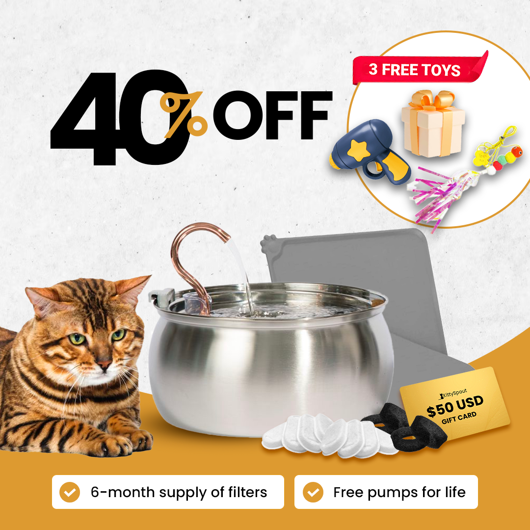 KittySpout bundle