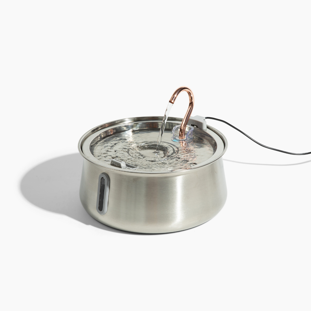 Like New The KittySpout 2.0 - Health & Happiness Cat Kit - 2 Month: KittySpout + 4 filter sets + AC adapter