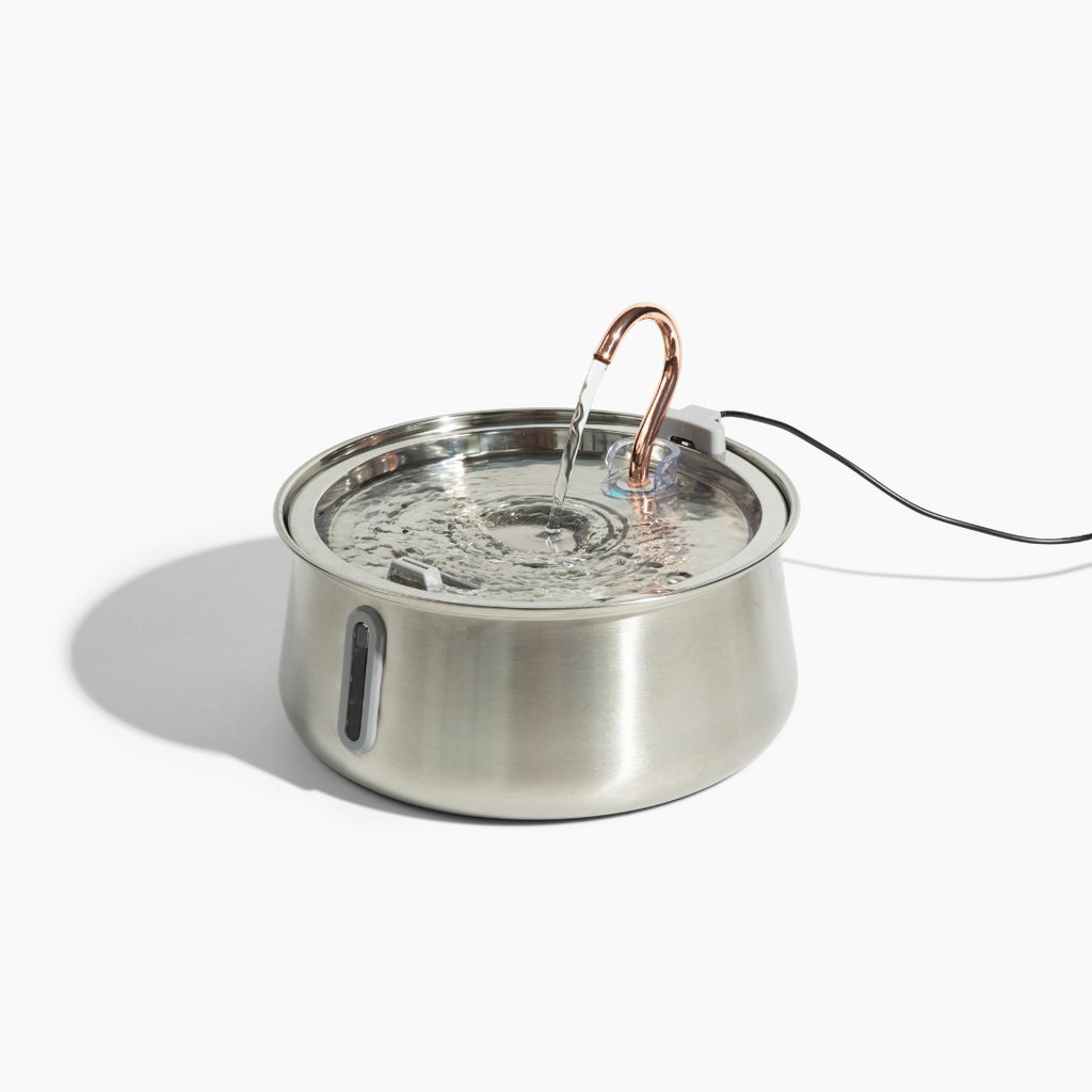 Like New The KittySpout 2.0 - Health & Happiness Cat Kit - 2 Month: KittySpout + 4 filter sets + AC adapter