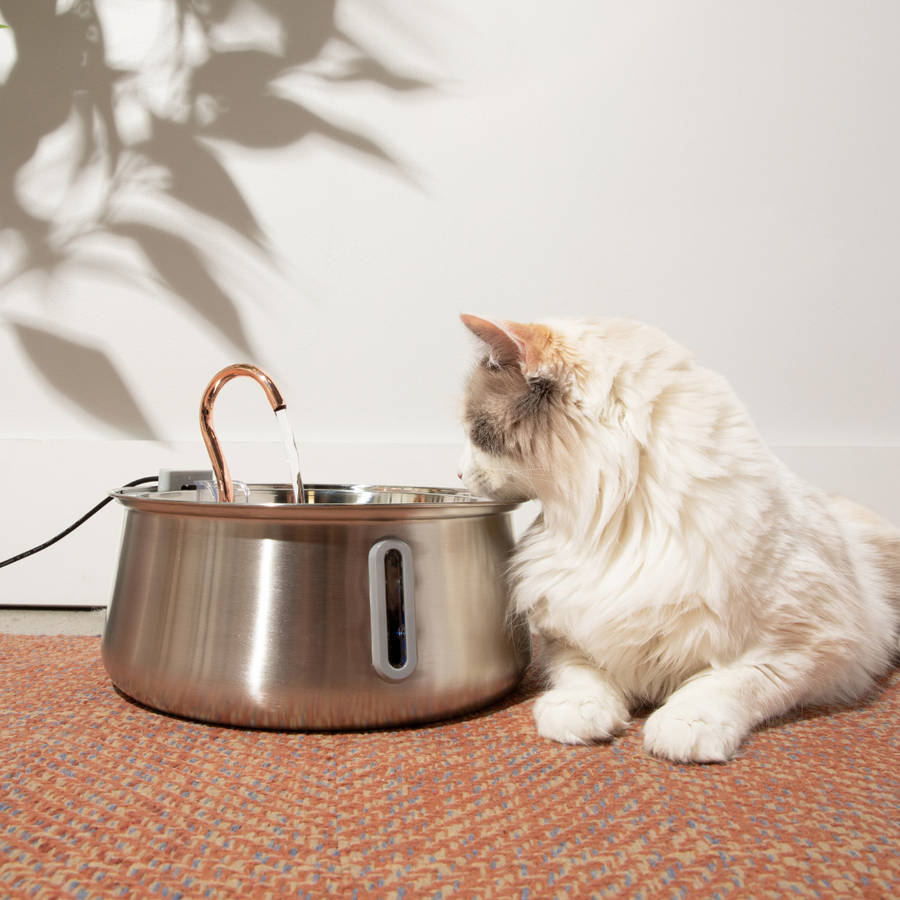 Der KittySpout™