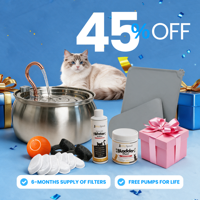 Hydration & Health Bundle