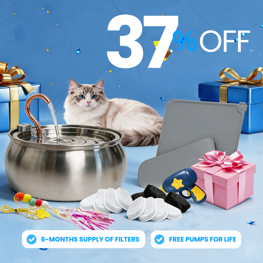 The Purrr-fect KittySpout Kit