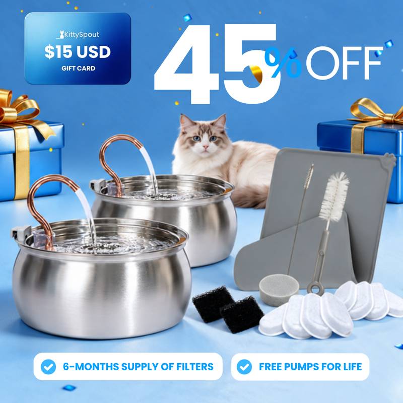 Big Cat Family Bundle