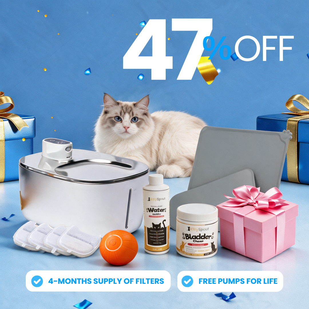 Hydration & Health Bundle