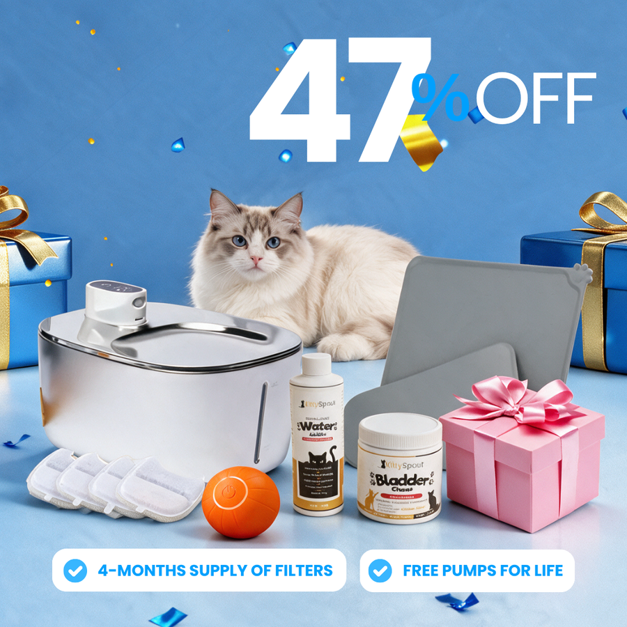 Wireless Hydration & Health Bundle