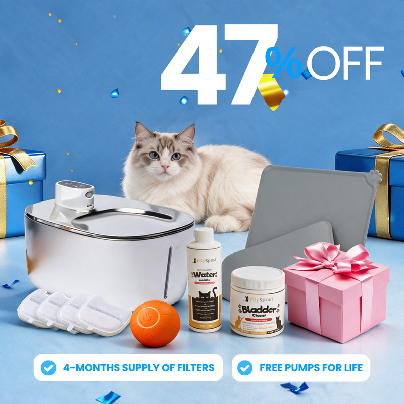 Wireless Hydration & Health Bundle