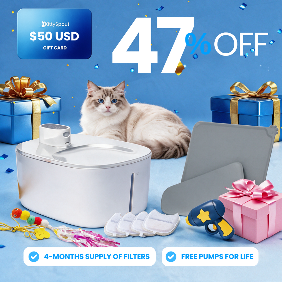 Wireless KittySpout Value Bundle