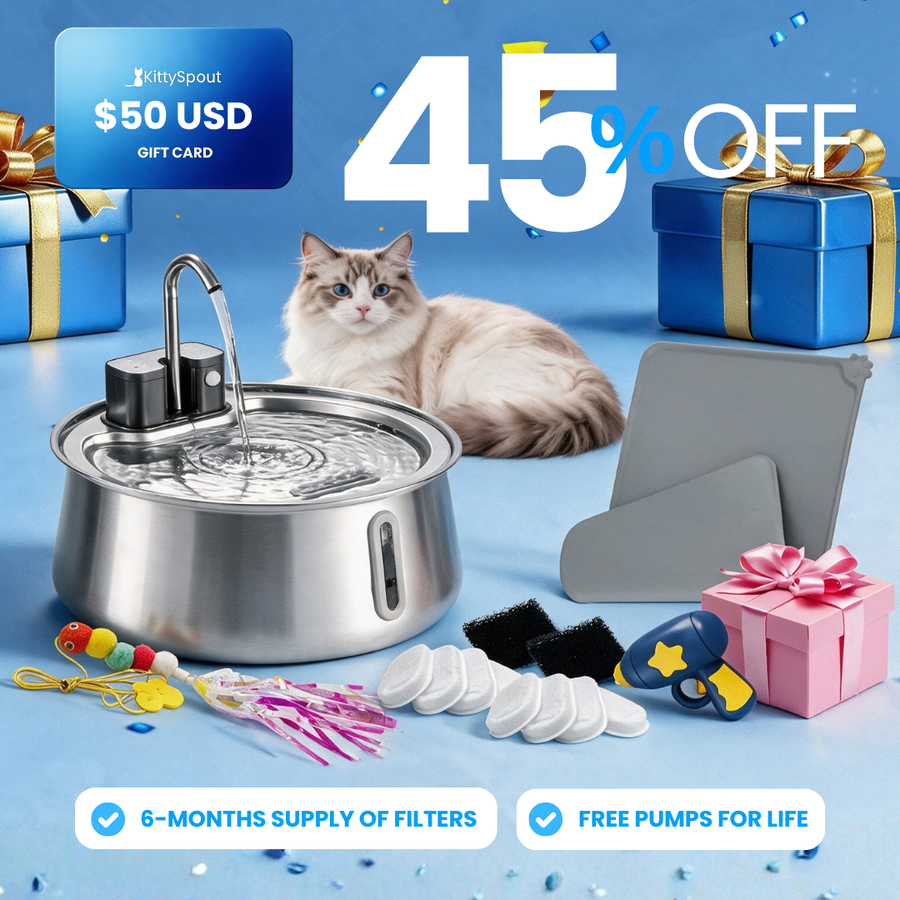 Wireless 2.0 KittySpout Value Bundle