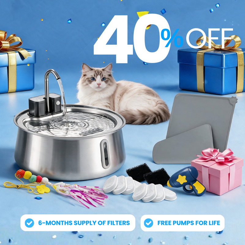 Wireless 2.0 Purrr-fect KittySpout Kit