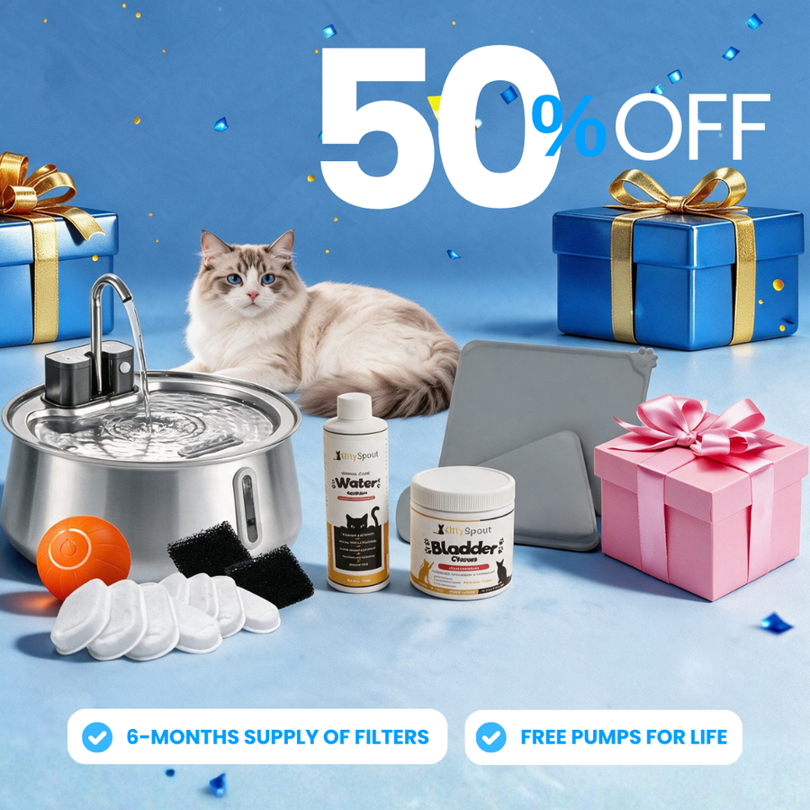 Wireless 2.0 Hydration & Health Bundle