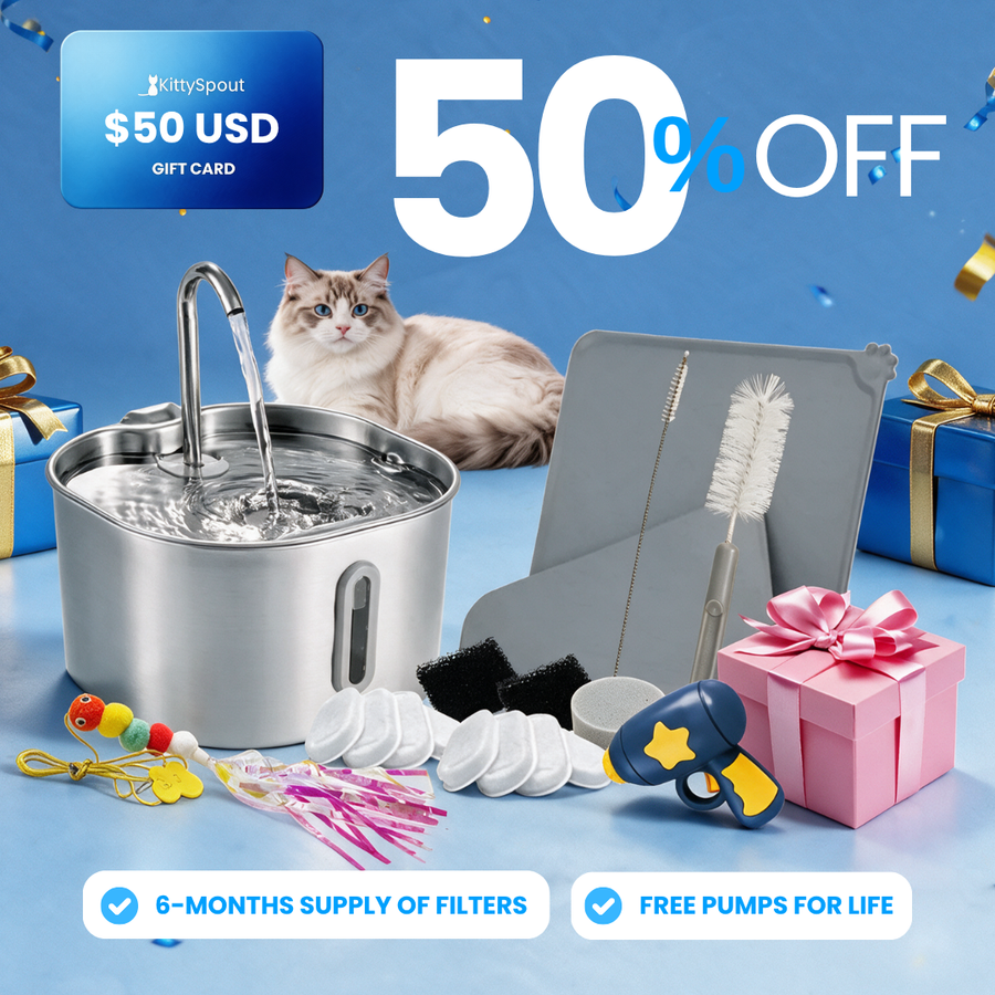 The KittySpout™ - 2.2L Value Bundle