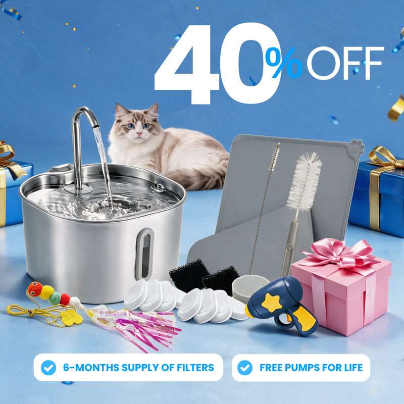 The KittySpout™ - 2.2L Purrrfect KittySpout Kit