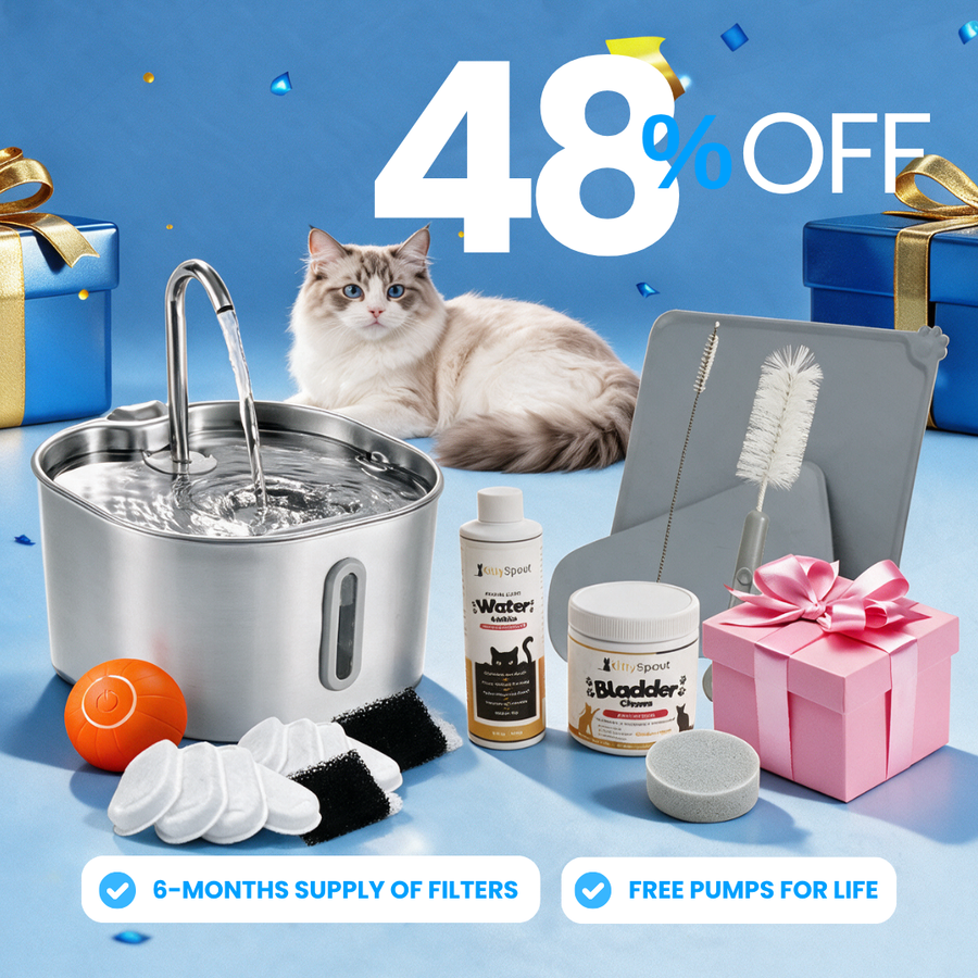 The KittySpout™ - 2.2L Hydration & Health Bundle