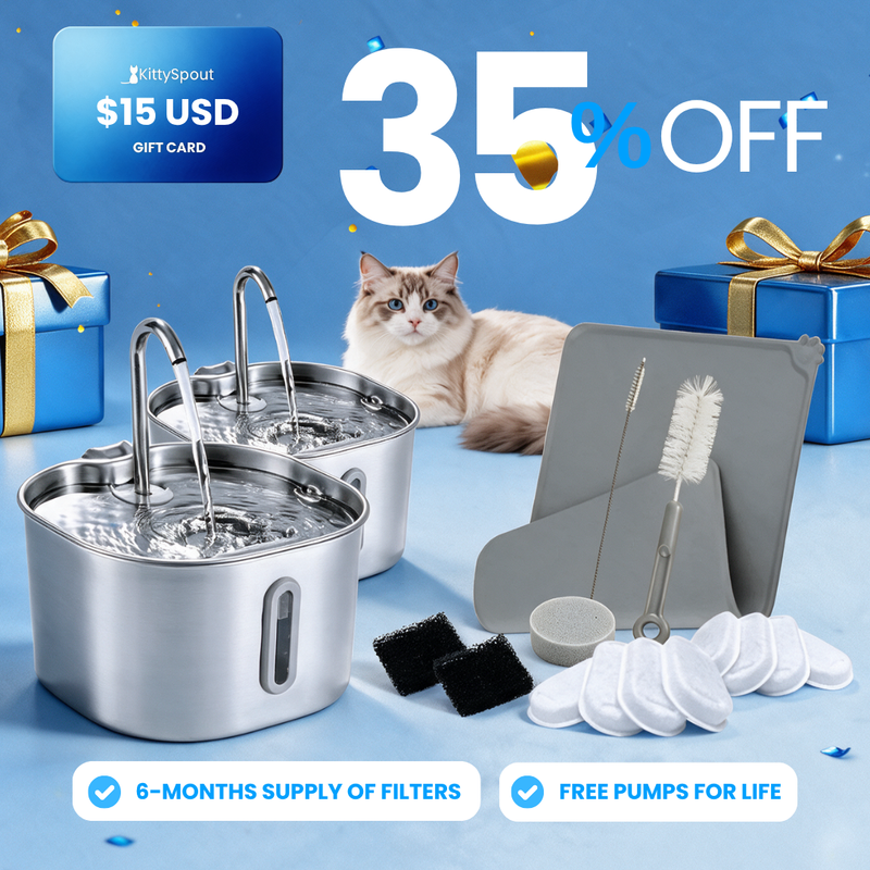 The KittySpout™ - 2.2L Big Cat Family Bundle