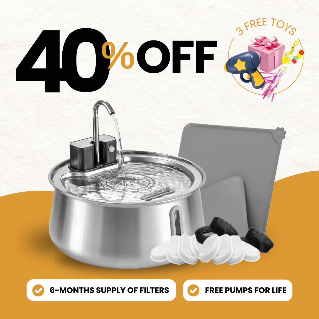 Wireless 2.0 Purrr-fect KittySpout Kit