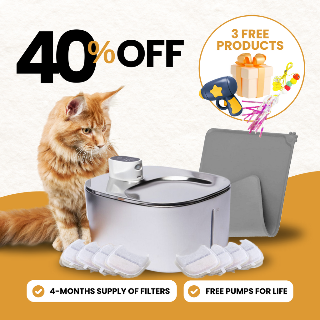 El kit Purrr-fect KittySpout